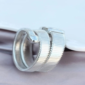 Cpr12373y Gümüş Renk Taşlı Yılan Model Kadın Kol Saati