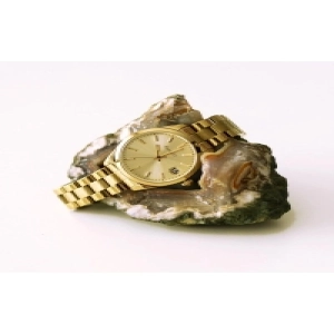 FC.0223 13276M.02 Gold Kadın Kol Saati