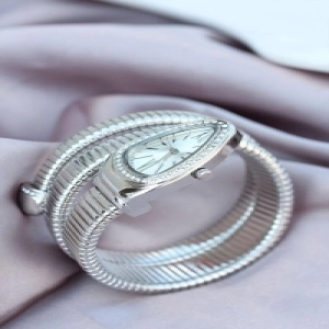 Cpr12373y Gümüş Renk Taşlı Yılan Model Kadın Kol Saati