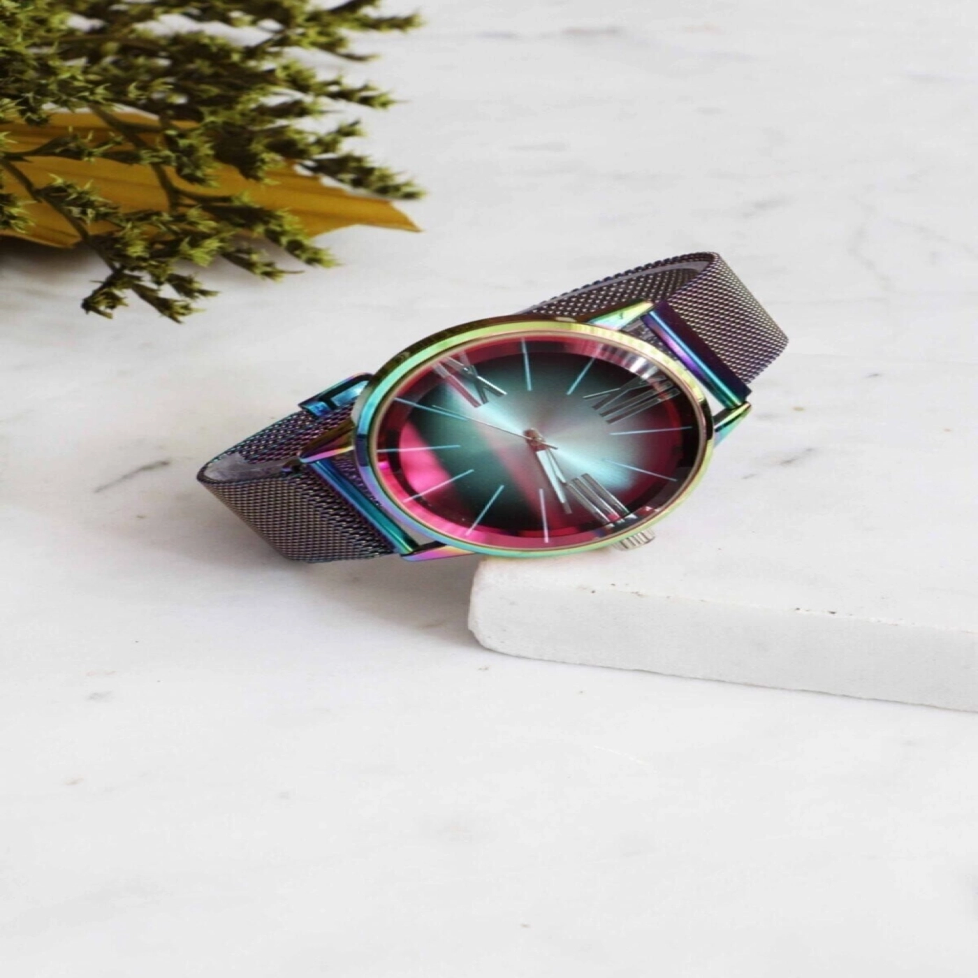 Rainbow Unisex Kol Saat Bay Çelik Kasa Mıknatıslı Kordon Analog Kol Saati